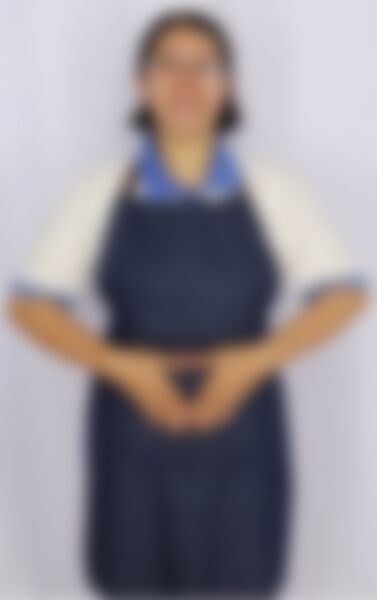 SRI WULAN — Indonesian maid in Singapore