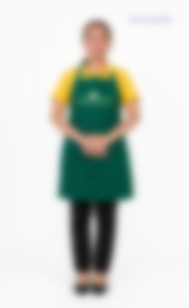 Aye Aye Myat — Myanmarese maid in Singapore