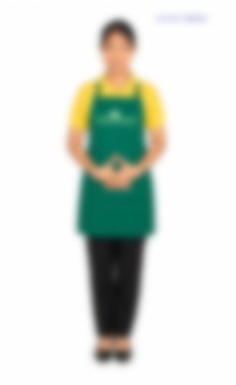 MAY ZIN PHY0 — Myanmarese maid in Singapore