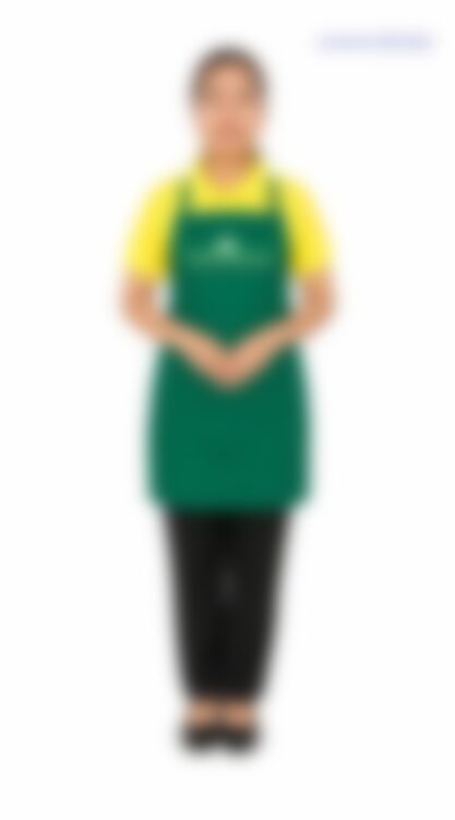 THET HNIN ZIN  — Myanmarese maid in Singapore