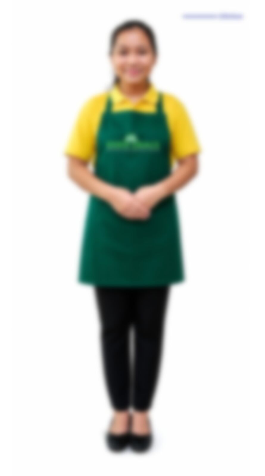 PHYO YADANAR TUN  — Myanmarese maid in Singapore