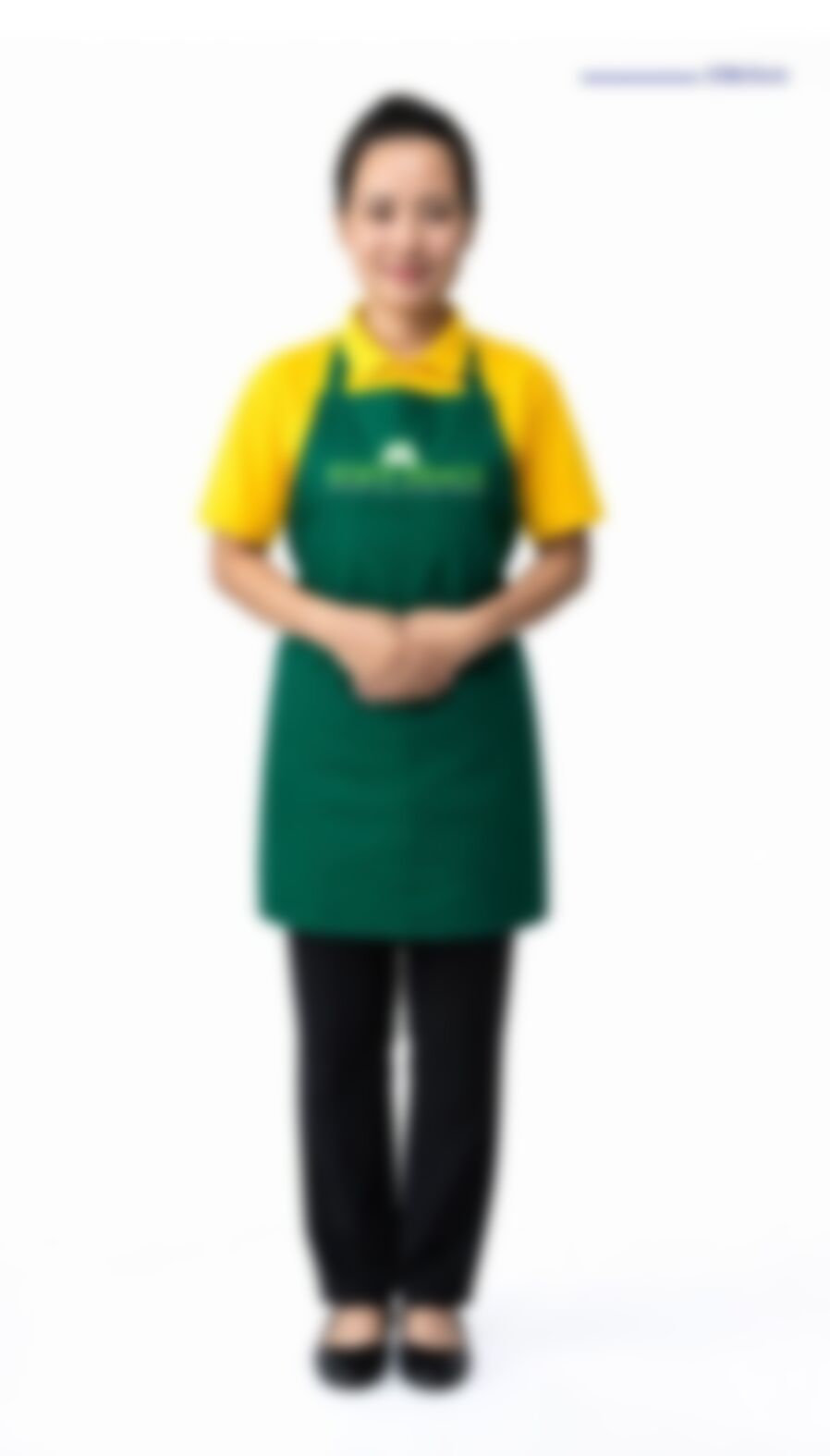 HLYING DAY  — Myanmarese maid in Singapore