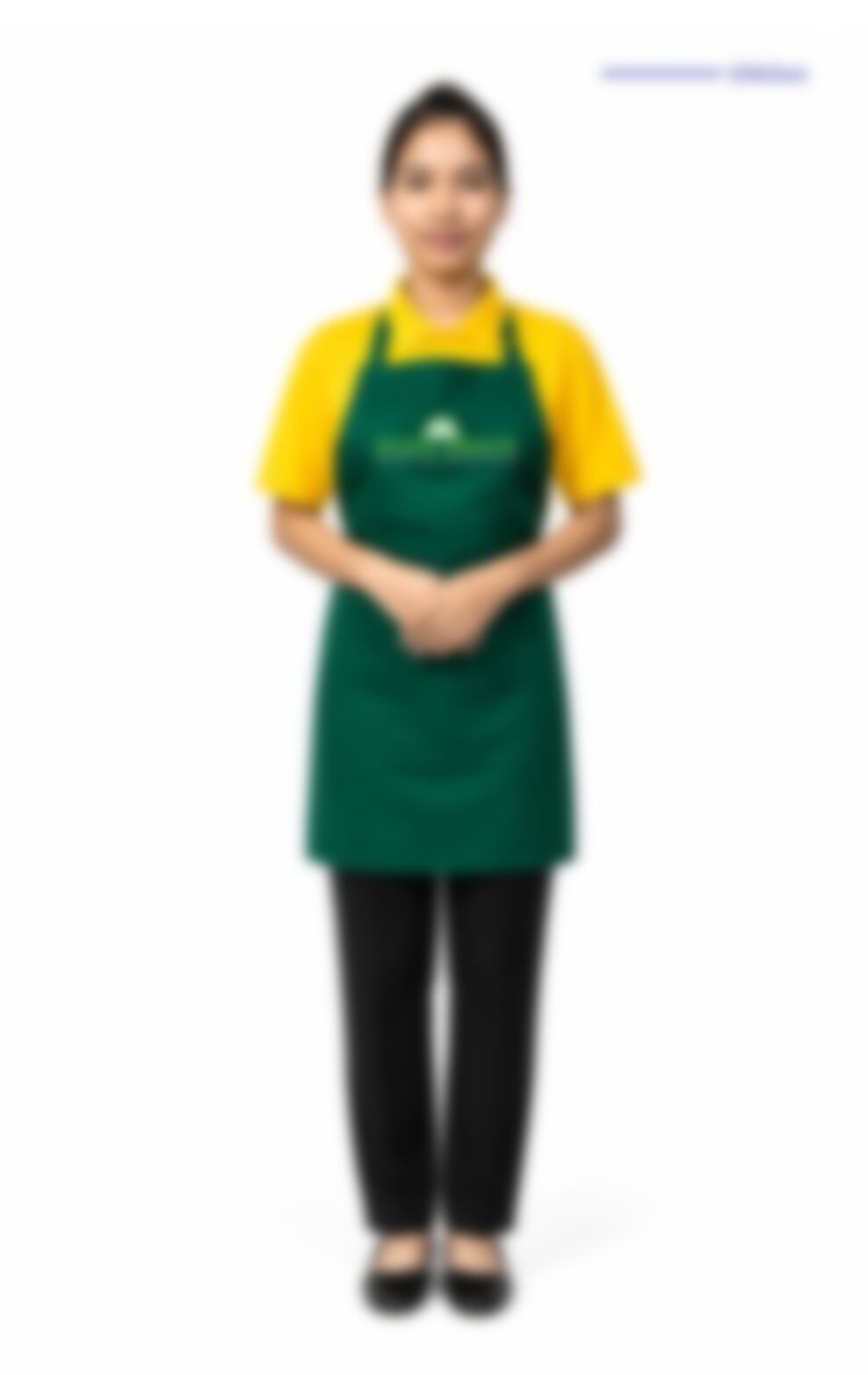 SWE SWE AUNG — Myanmarese maid in Singapore