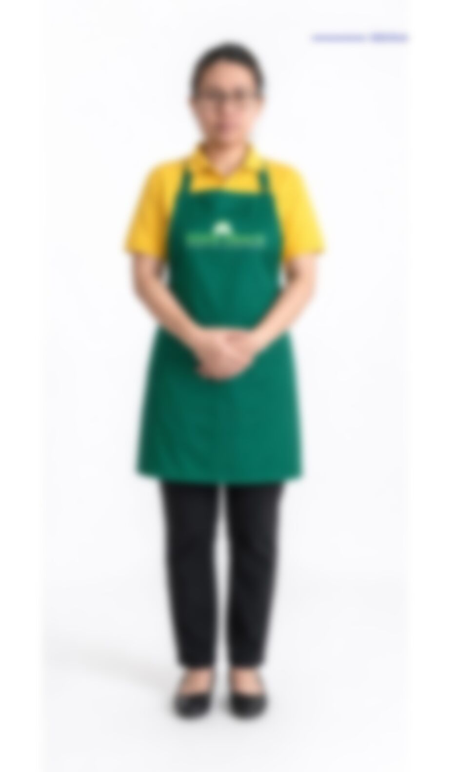 Myo Thandar Htike — Myanmarese maid in Singapore