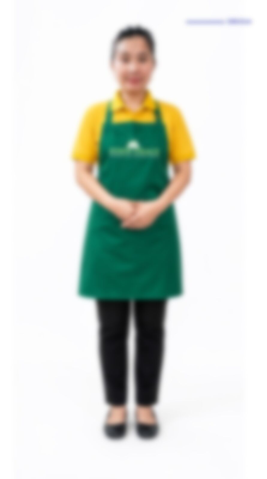Nan Khan Lar — Myanmarese maid in Singapore