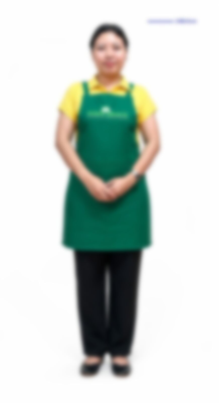 Nwe Zin Win — Myanmarese maid in Singapore