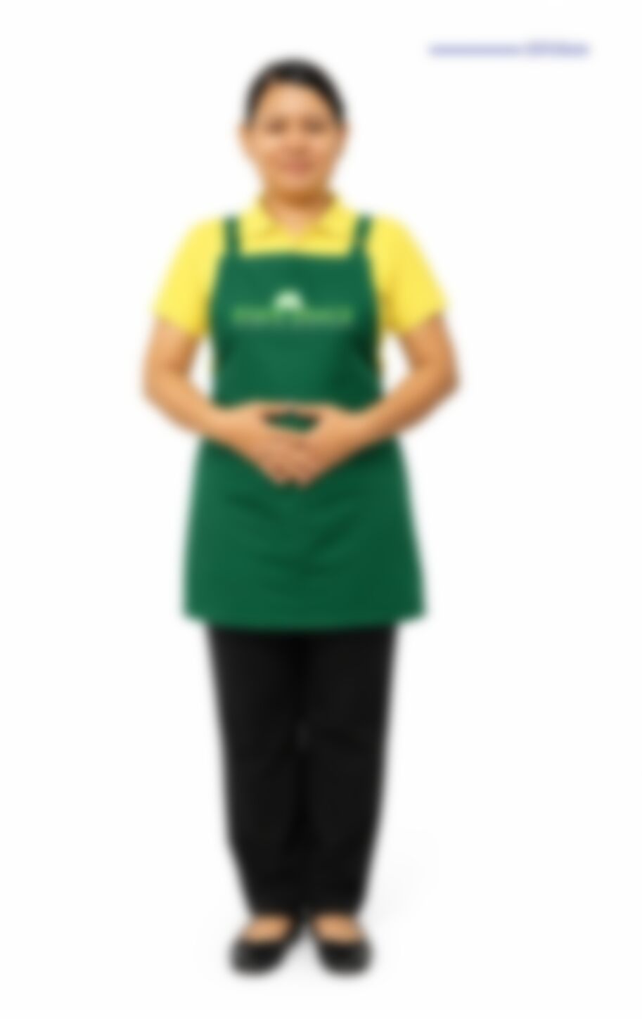 Wai Mar Tun — Myanmarese maid in Singapore