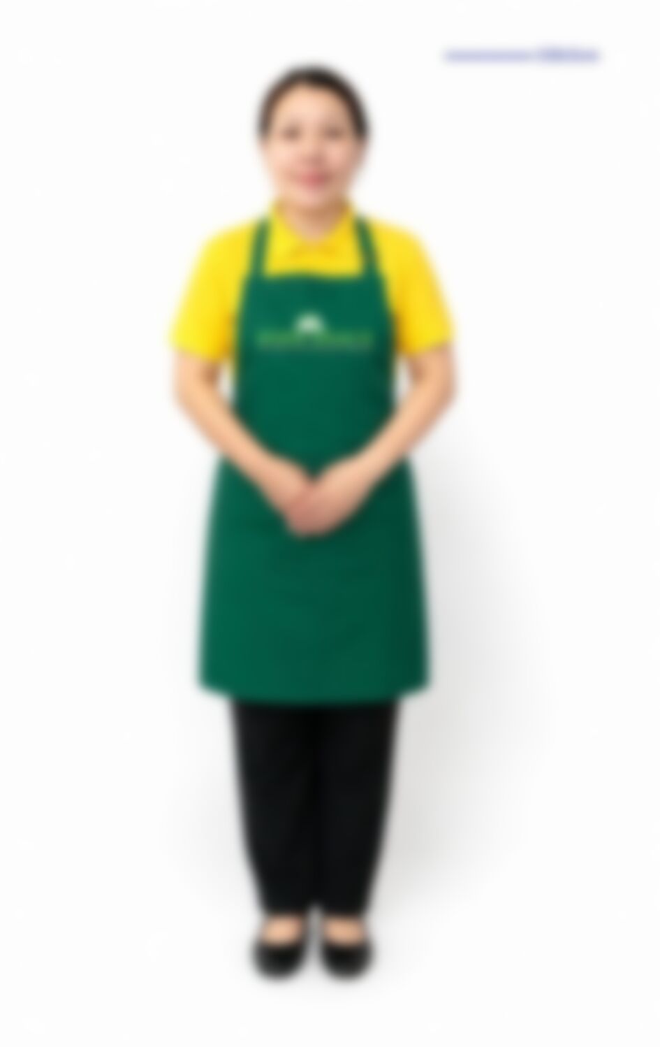 Naw Ester — Myanmarese maid in Singapore