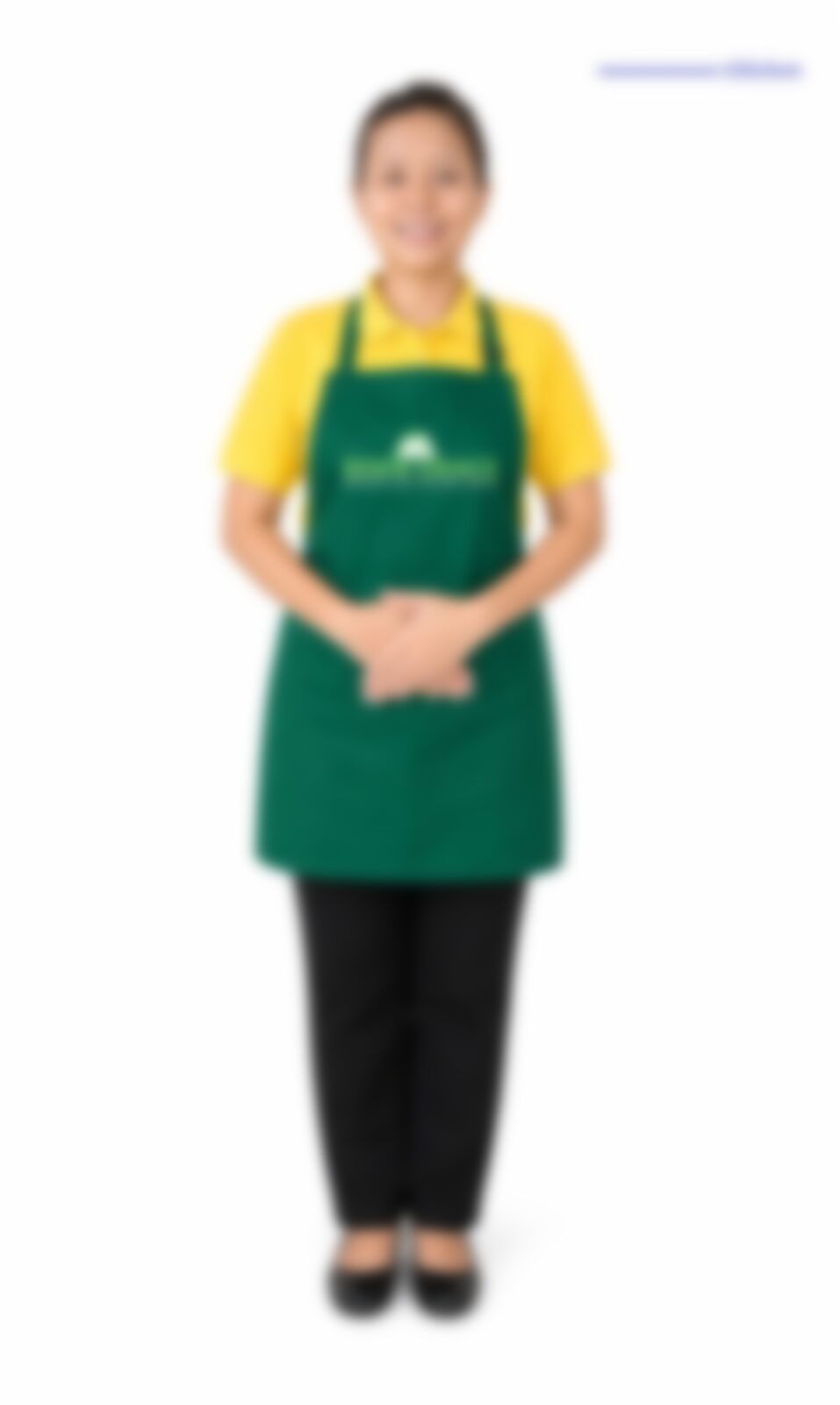 Nang Bo Kham — Myanmarese maid in Singapore