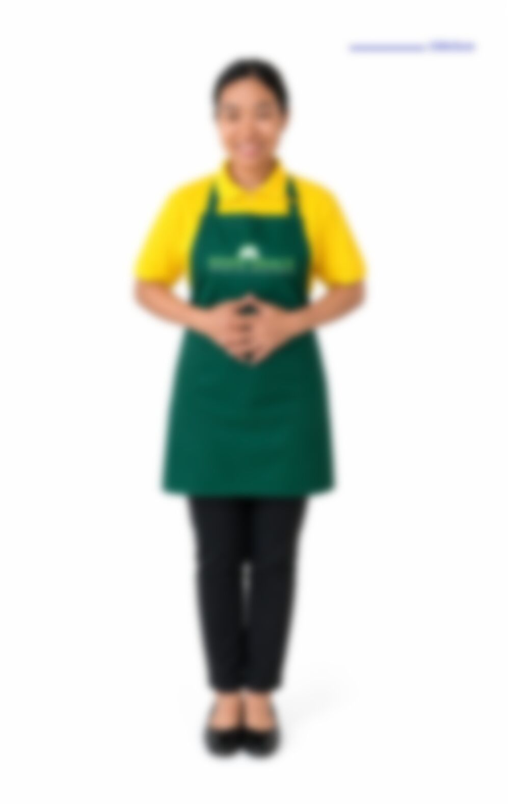 MAY KA BYAR — Myanmarese maid in Singapore